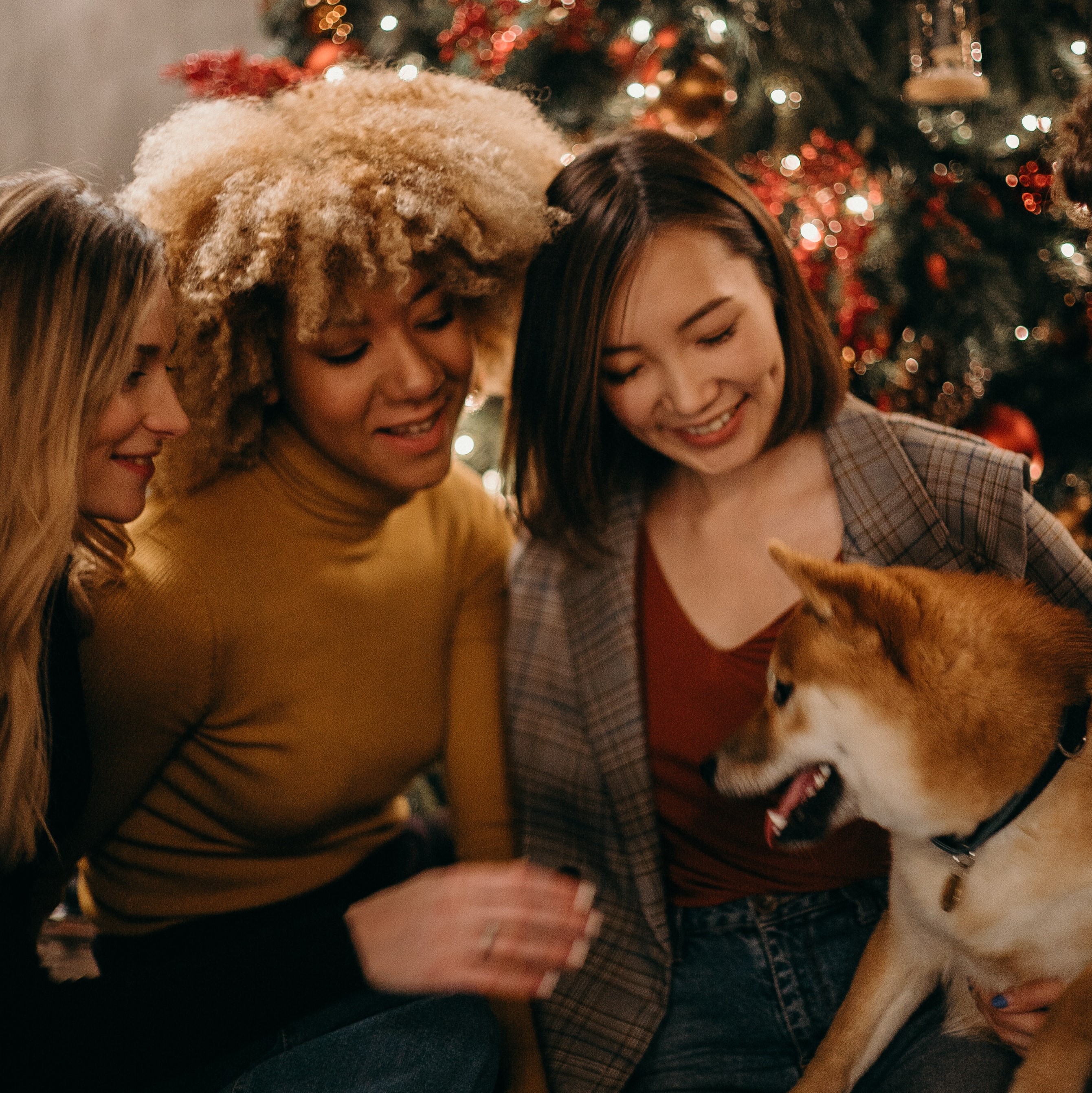 three people sitting in front of a christmas tree and smiling